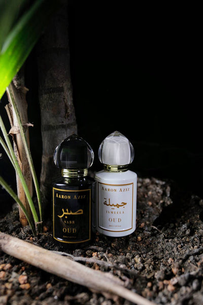 Jameela Oud By Aaron Aziz